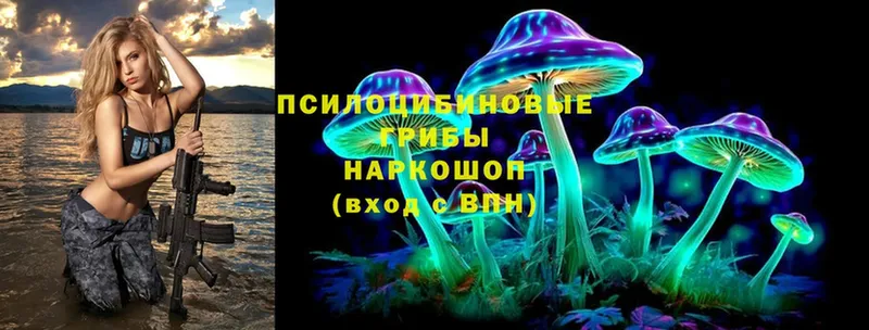 что такое   Раменское  Галлюциногенные грибы Magic Shrooms 